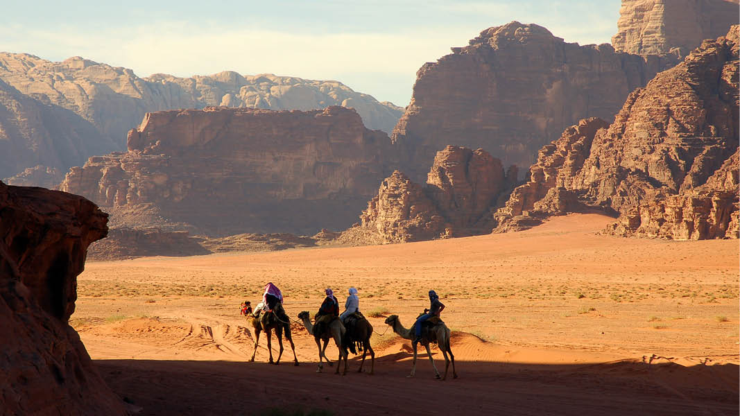 P kamel i Wadi Rum rkenen i Jordan