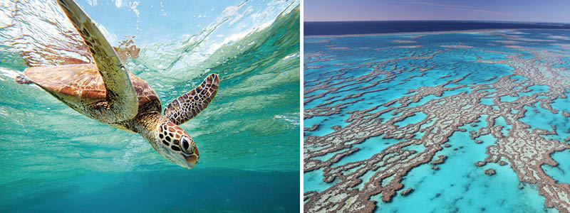 Great Barrier Reef, Australien