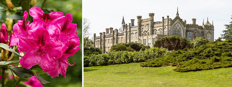 Se Sheffield Park p jeres haverejse til Sydengland