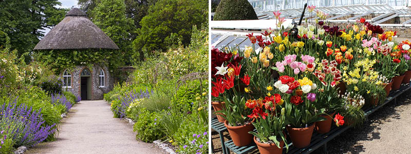 Tag med til West Dean Gardens med Kulturrejser