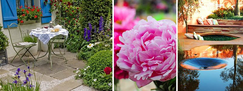 Oplev det enestende Chelsea Flower Show