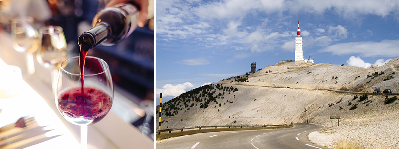 Vinsmagning i Rhône-dalen og e kig mod Mont Ventoux