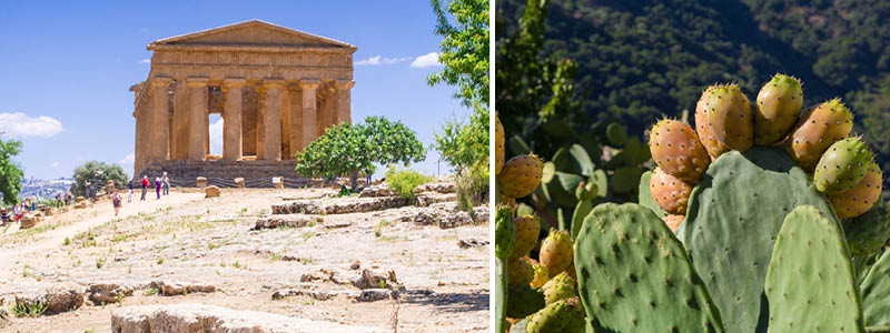 Sicilien: Tempeldalen ved Agrigento