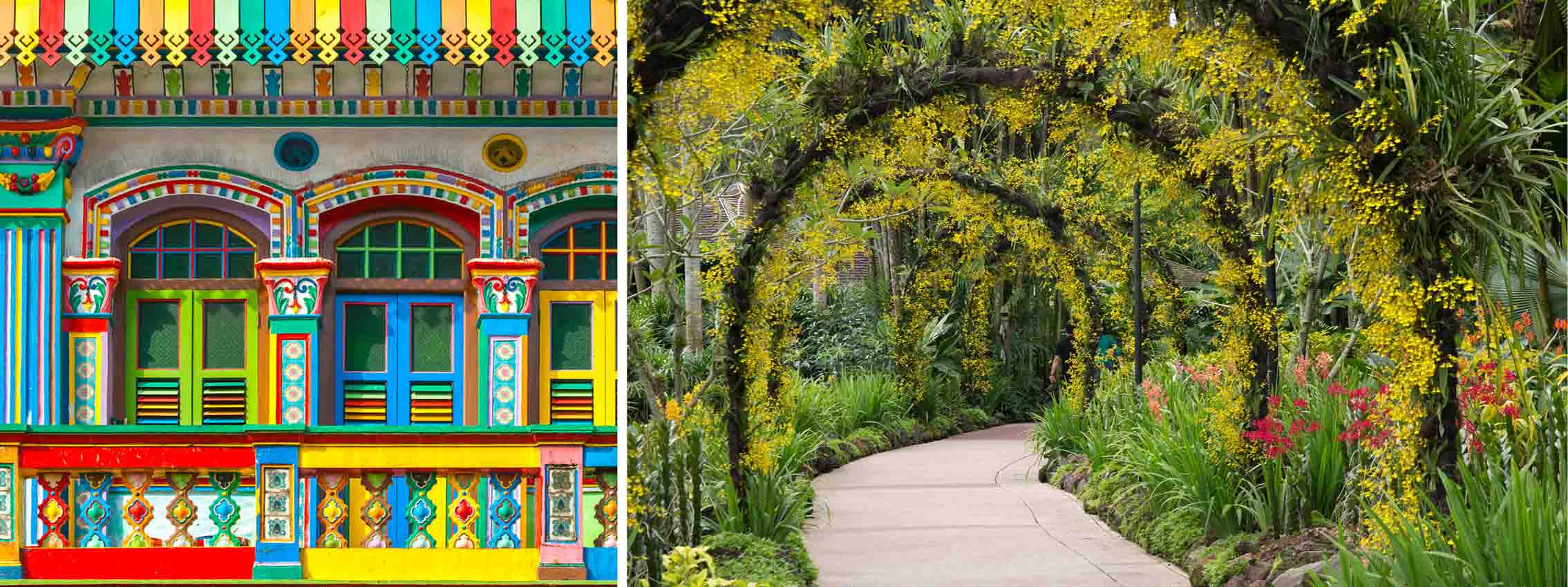 Little India og botanisk have i Singapore