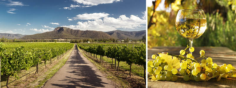 Vinsmagning i smukke omgivelser, Australien