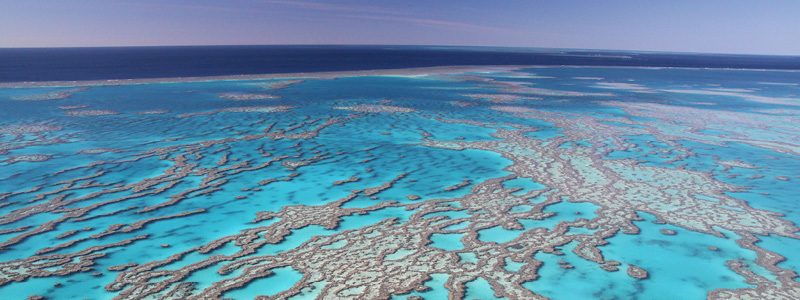 Great Barrier Reef i Australien