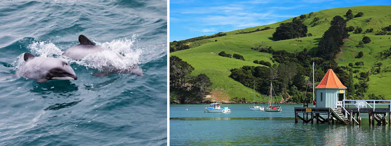 Oplev Akaroa i New Zealand med Kulturrejser
