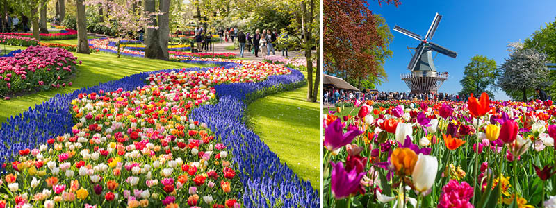 Keukenhof Blomsterpark i Holland