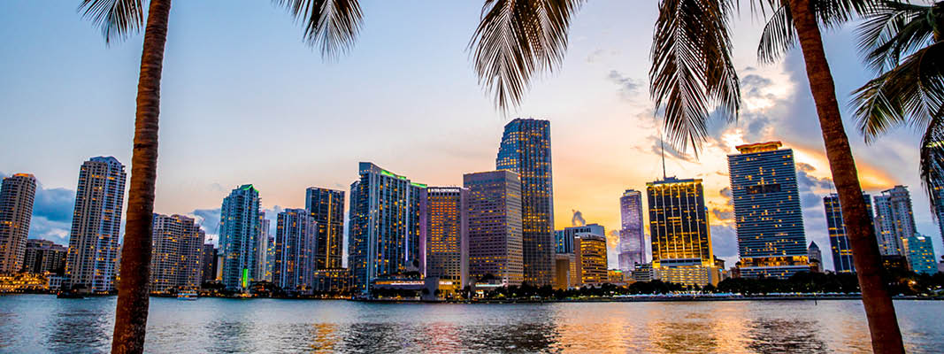 Miami Skyline