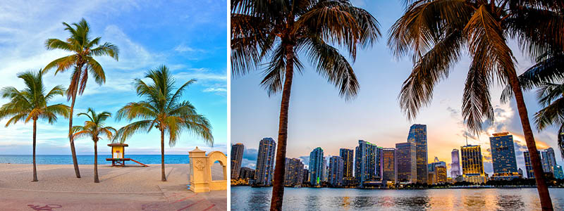 Miami i Florida med palmer og skyskrabere, USA