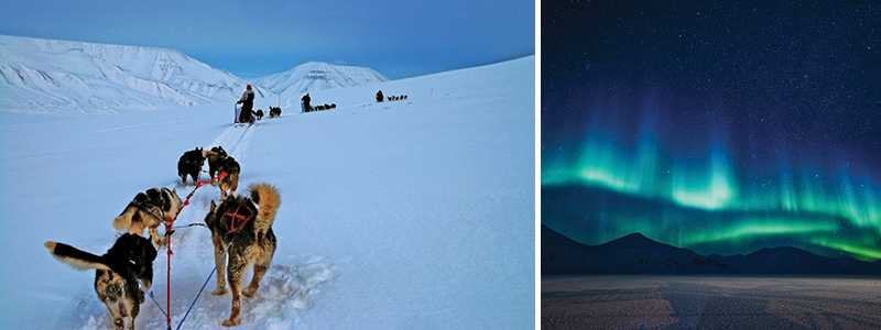 Tag med hundeslde i jagten efter nordlys