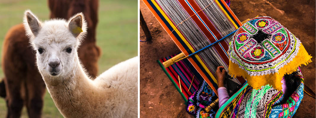 I byen Pisac, hvor kvinde væver af alpakauld, Peru
