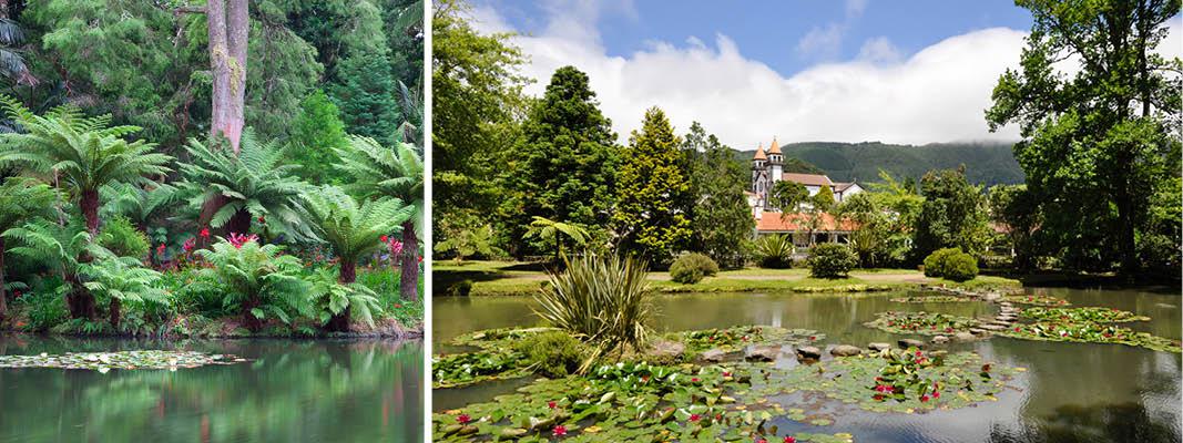 Den smukke botaniske have Terra Nostra