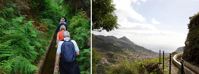 Vandring langs levadaen, Madeira, Portugal