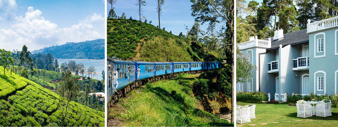 Togtur fra Kandy til Nuwara Eliya samt hotellet St. Andrews