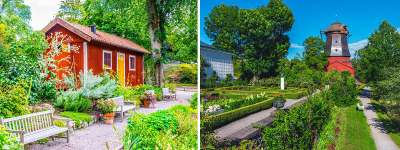 Frilandsmuseet Skansen // Djurgården med gammel hollansk mølle.