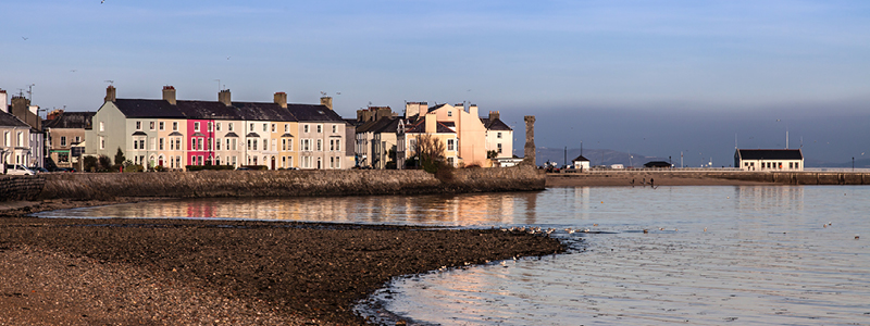 Braumaris, Wales