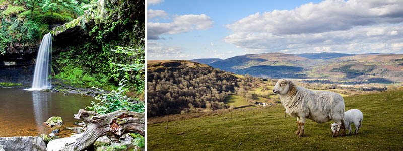 Vandfald og rigt dyreliv i nationalparken Brecon Beacons, Wales