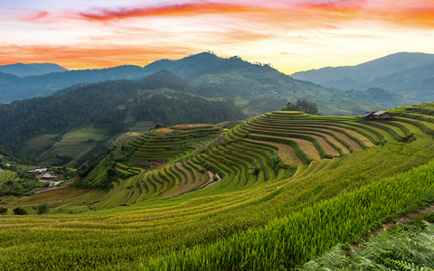 Betagende Bali