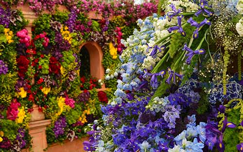Haverejse - Chelsea Flower Show