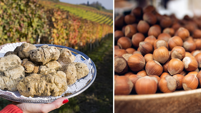 Nyd de lokale rvarer i Barolo, Italien