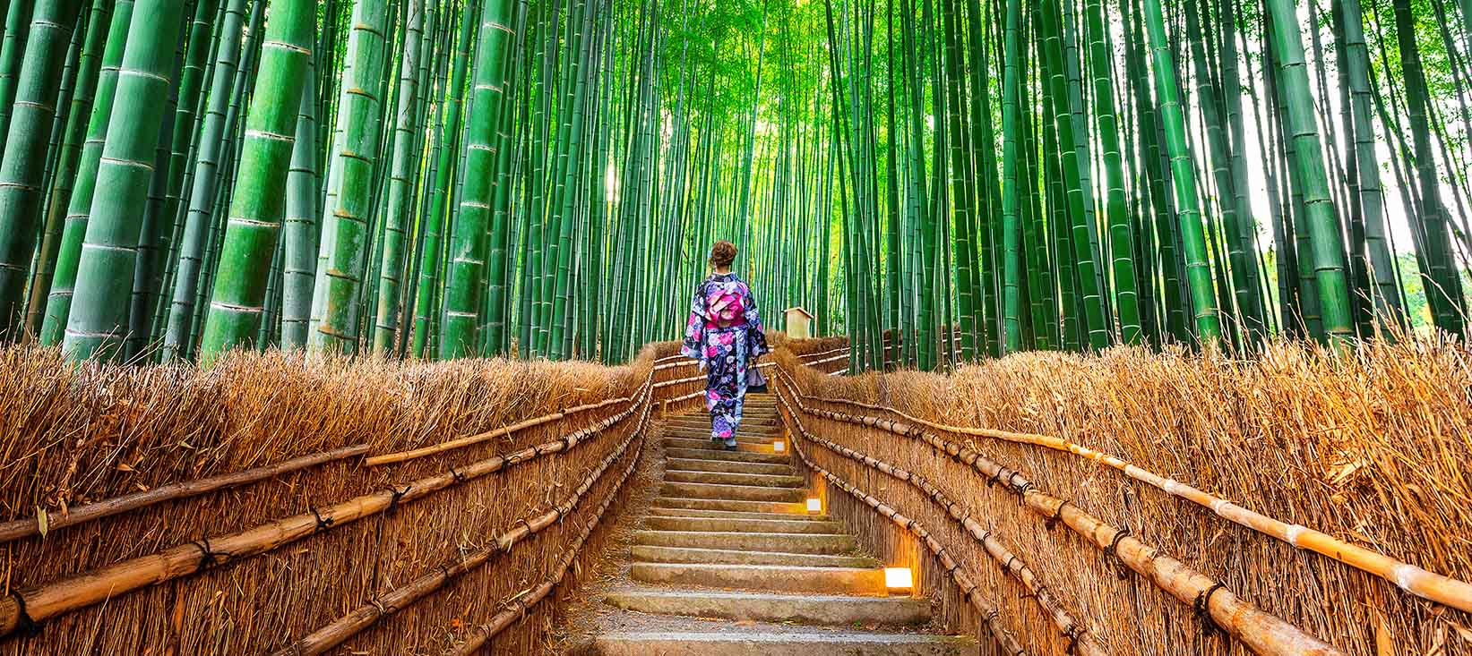 Bambusskov i Kyoto, Japan