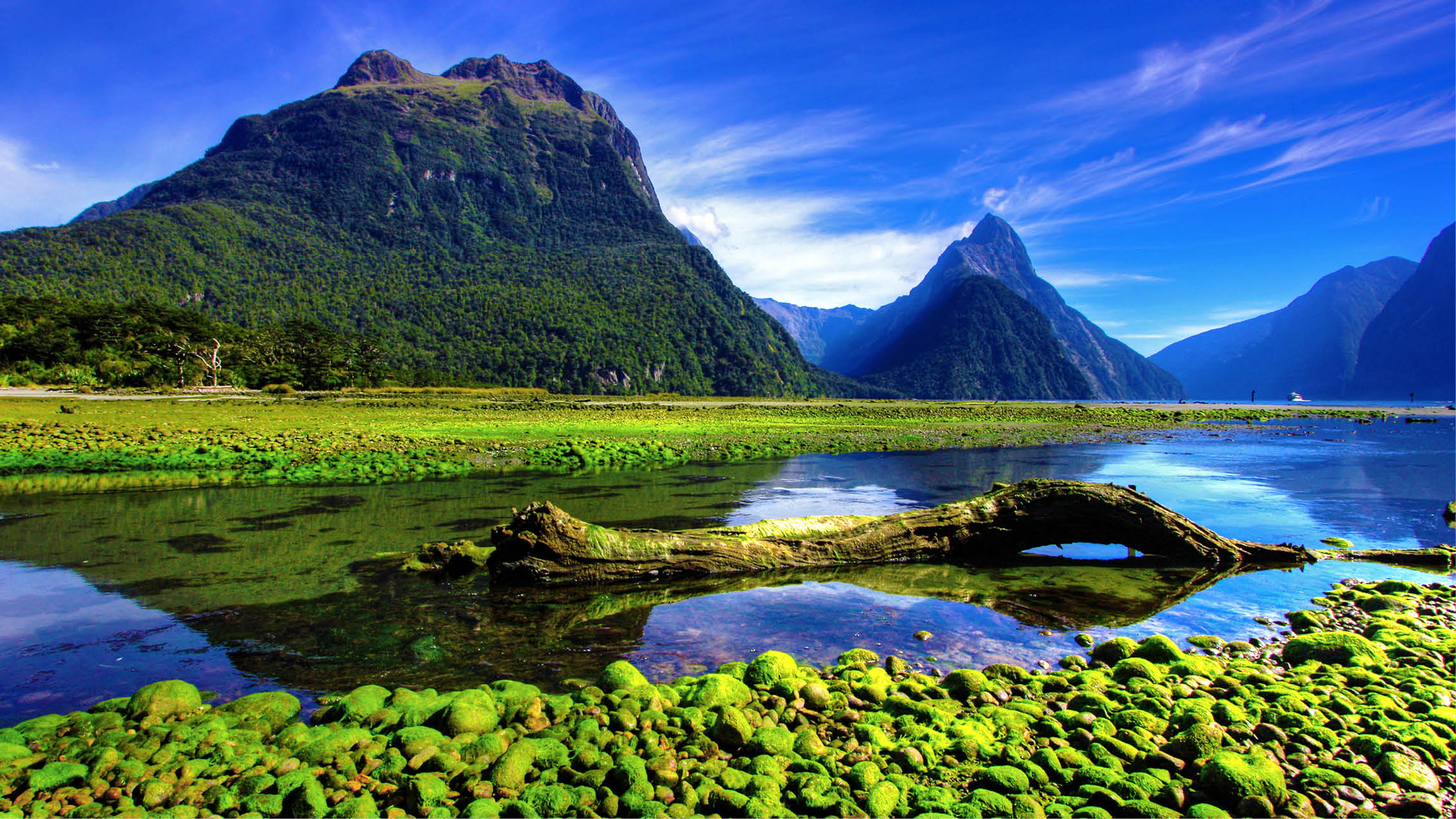 Flot natur i New Zealand