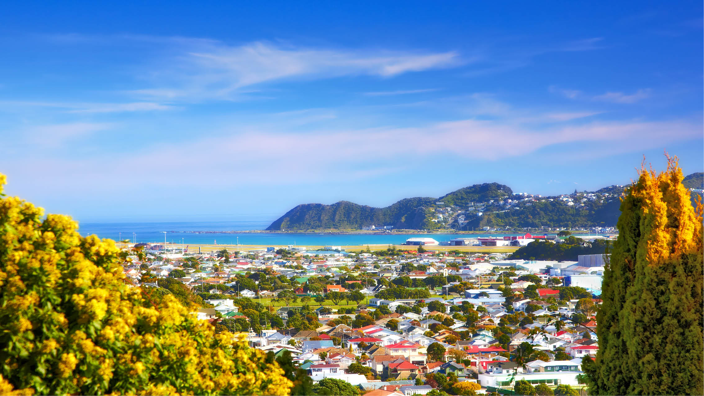 Auckland i New Zealand