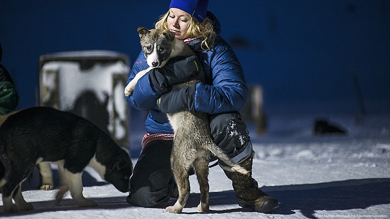 Sldehund i Svalbard, Norge