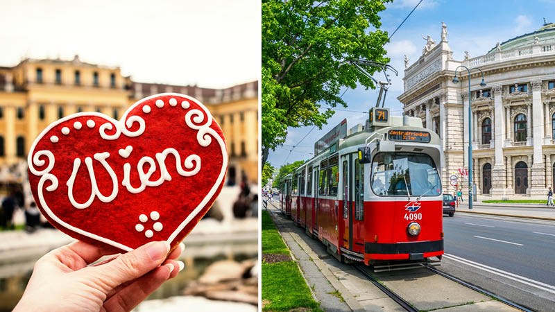 Rejser til Wien - Få kulturoplevelser i operaen, Hofburg m.fl.