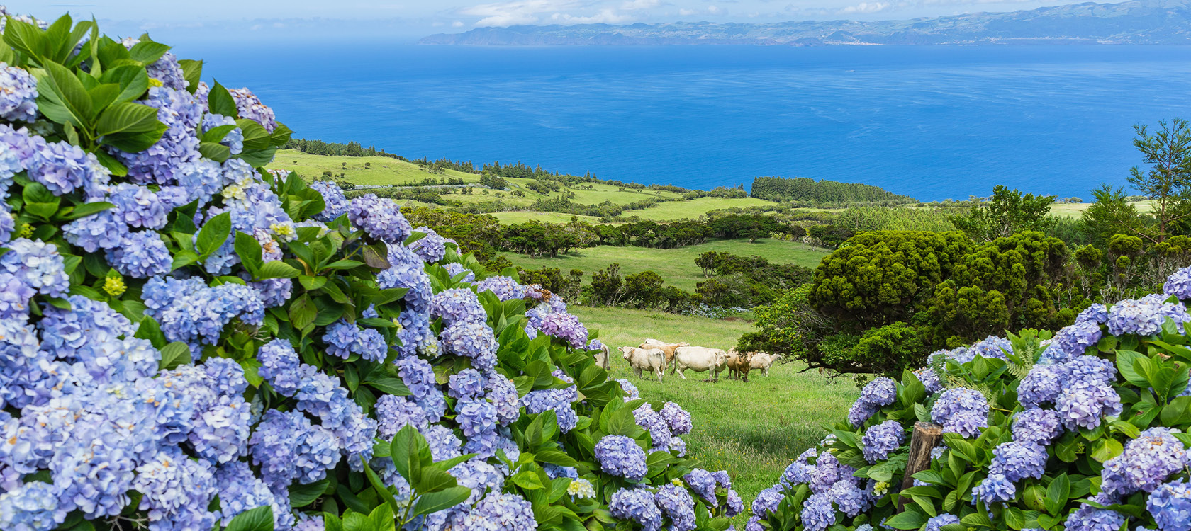 azorerne et naturligt paradis header stor