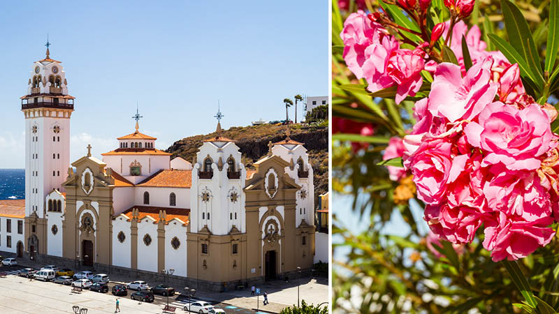 Oplev Tenerife med Frantz Howitz og Kulturrejser