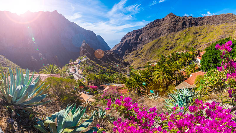 Udforsk Tenerifes skønne landskab