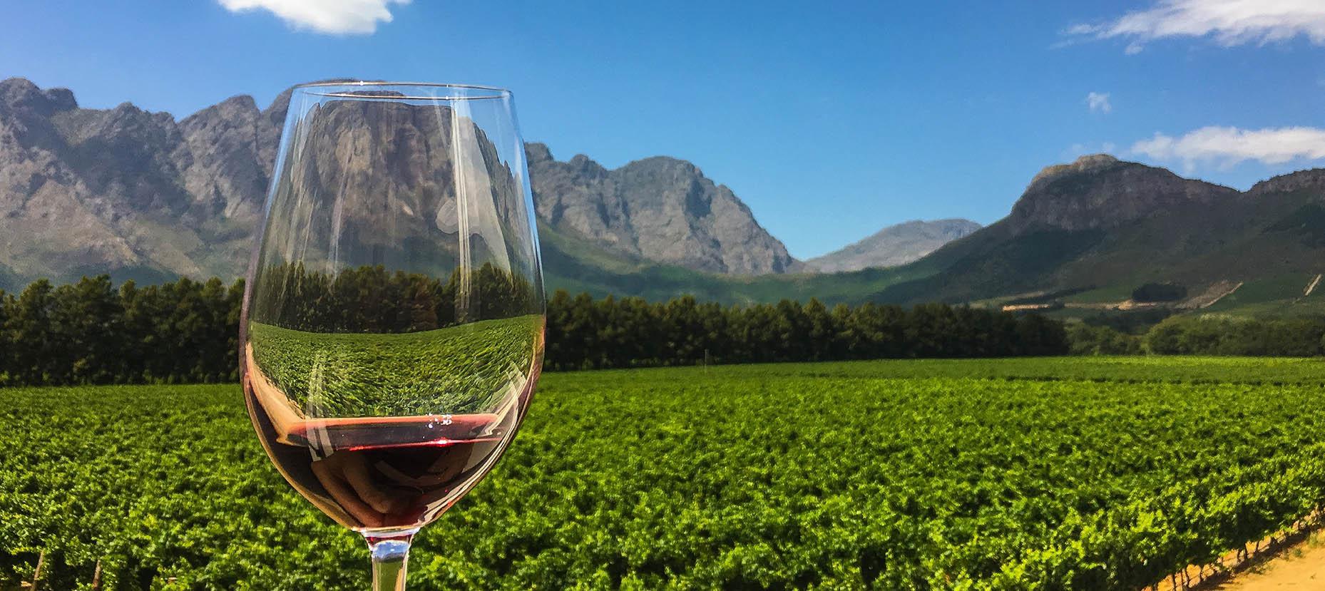 vinsmagning og vinmark i sydafrika