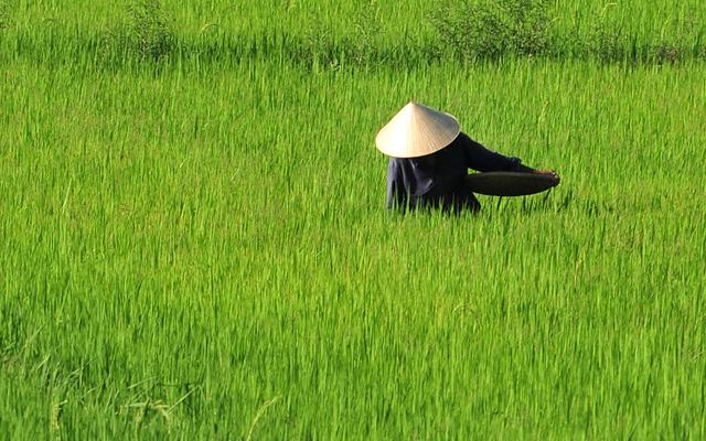 Fortryllende Vietnam