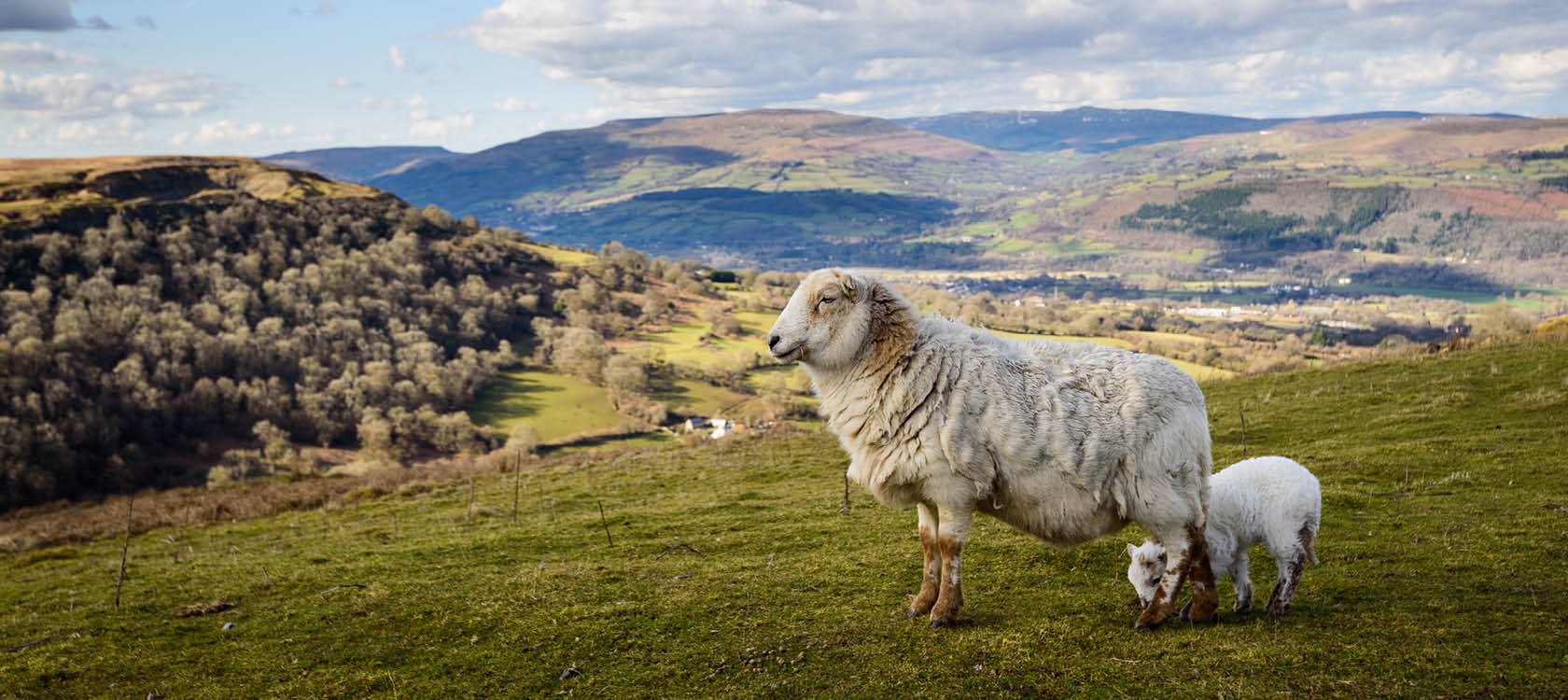 vandreferie i wales